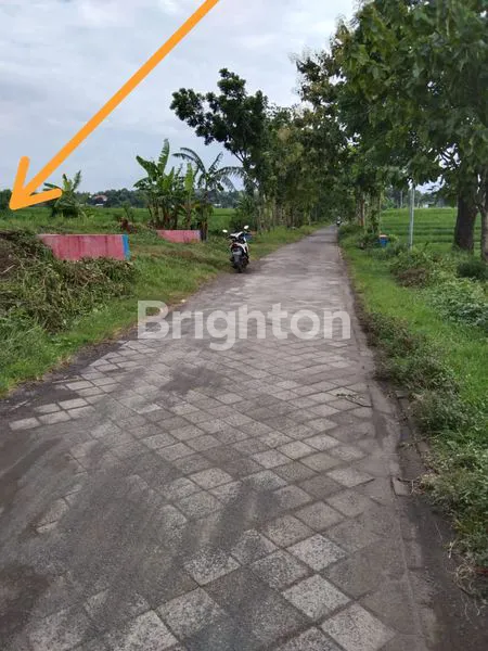 image TANAH COCOK UNTUK PERKEBUNAN (3)