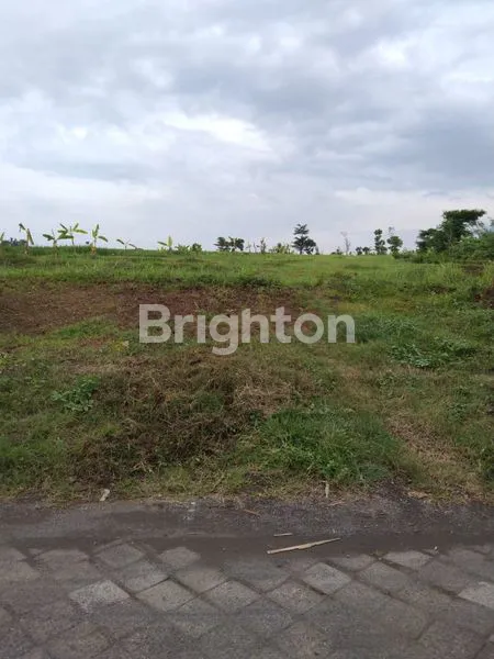 image TANAH COCOK UNTUK PERKEBUNAN (2)