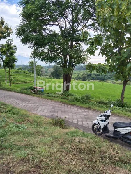 TANAH COCOK UNTUK PERKEBUNAN