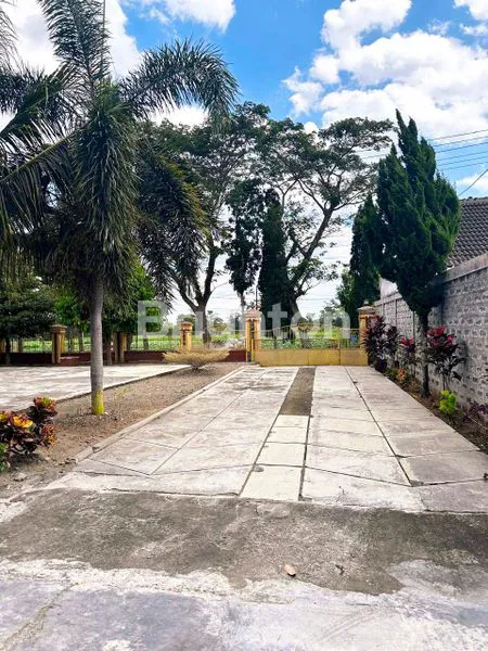 image RUMAH JOGLO ISTIMEWA – SENTUL -  TENGAH KOTA BLITAR\N (4)