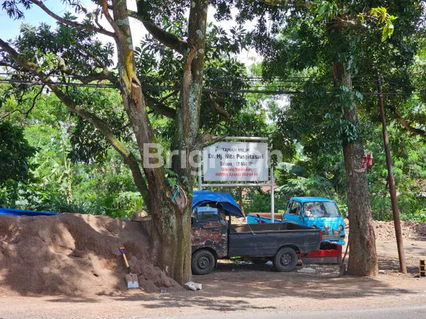 image TANAH CIANJUR (2)