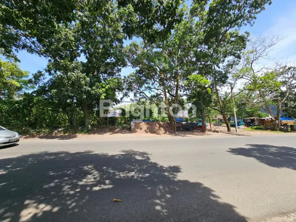 image TANAH CIANJUR (1)