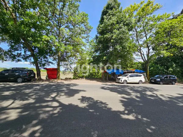 image TANAH CIANJUR (4)