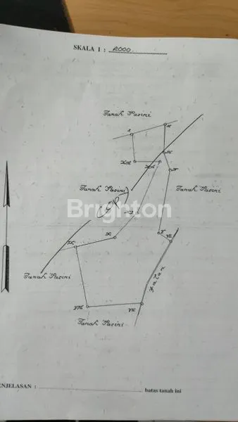 image EX PABRIK ARANG MANADO – LAHAN LUAS & SIAP DIKEMBANGKAN (8)