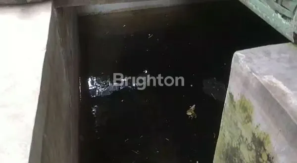 image KEBUN PRODUKTIF DI LOKASI STRATEGIS BELAKANG BATU LOVE GARDEN (BALOGA), MURAH, BU,  DI BUMIAJI BATU (6)