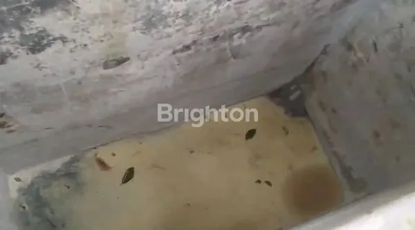 image KEBUN PRODUKTIF DI LOKASI STRATEGIS BELAKANG BATU LOVE GARDEN (BALOGA), MURAH, BU,  DI BUMIAJI BATU (5)