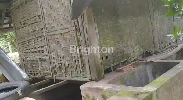 image KEBUN PRODUKTIF DI LOKASI STRATEGIS BELAKANG BATU LOVE GARDEN (BALOGA), MURAH, BU,  DI BUMIAJI BATU (4)