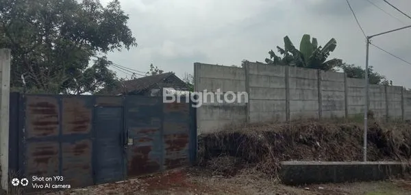 image KEBUN BUAH APUKAT DAN MANGGA (1)