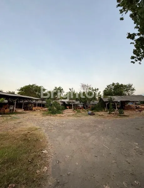 image TANAH & GUDANG DIJUAL TANAH DI GONDANGWETAN PASURUAN (2)