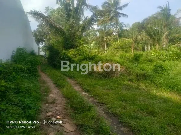 image TANAH DI ZONA INDUSTRI TEMANGGUNG  (1)