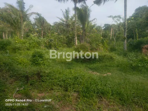 image TANAH DI ZONA INDUSTRI TEMANGGUNG  (2)