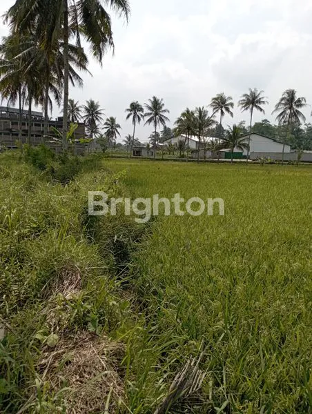 image TANAH DI ZONA INDUSTRI TEMANGGUNG  (3)