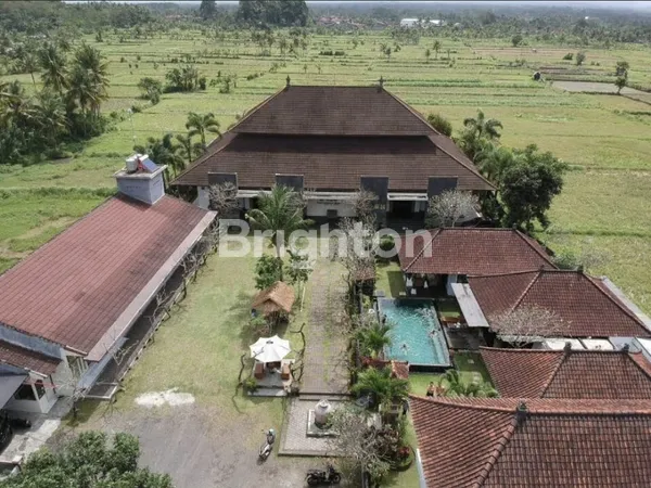 image KOMPLEK VILLA WITH POOL AREA UBUD BALI, TERMURAH HARGA DIBAWAH PASARAN (1)