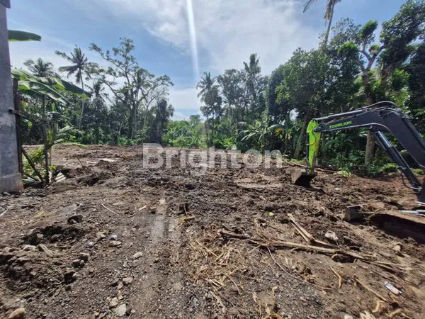 image DIJUAL TANAH KAPLING DI BAHA MENGWI 300 JUTA (1)