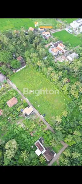 image DIJUAL TANAH KAPLING DI BAHA MENGWI 300 JUTA (3)