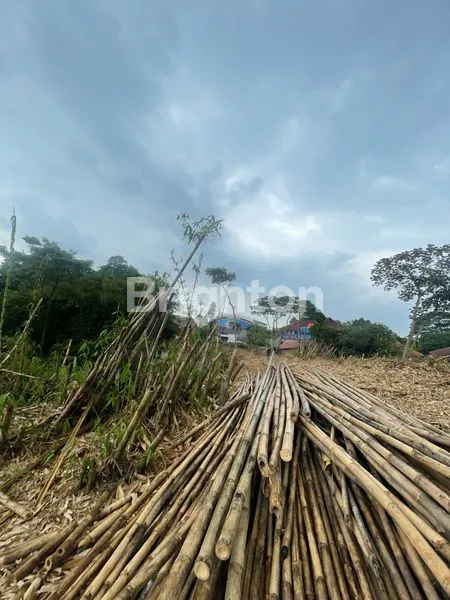 image TANAH LUAS AREA CILODONG (3)