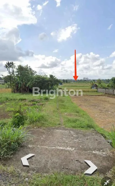 image DIJUAL TANAH DI TEMESI 1,53 ARE 329 JUTA (3)