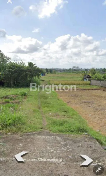 image DIJUAL TANAH DI TEMESI 1,53 ARE 329 JUTA (2)