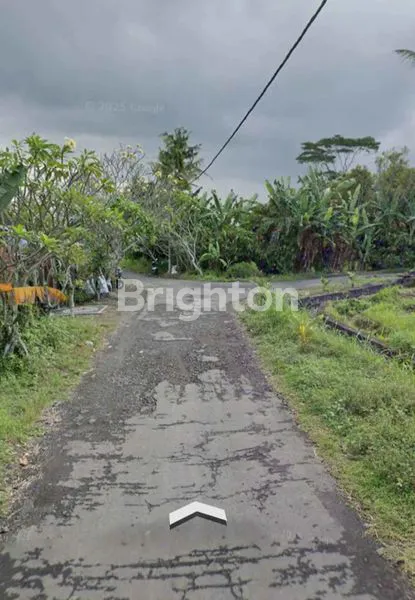 DIJUAL TANAH DI TEMESI 1,53 ARE 329 JUTA
