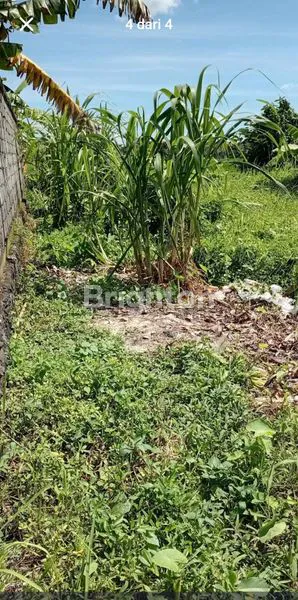 image DIJUAL TANAH BATUBULAN 1,66M2 RP 370 JUTA  (3)