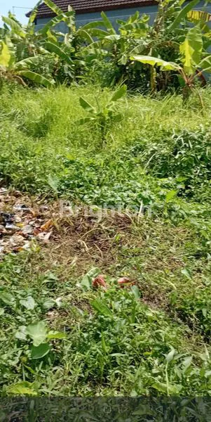 image DIJUAL TANAH BATUBULAN 1,66M2 RP 370 JUTA  (2)