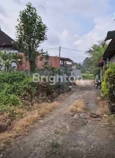 image TANAH MURAH DI SENAPAHAN TABANAN (3)