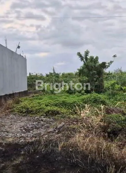 image TANAH MURAH DI SENAPAHAN TABANAN (4)