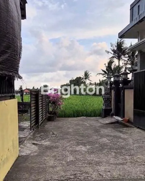 image TANAH MURAH DI SENAPAHAN TABANAN (2)
