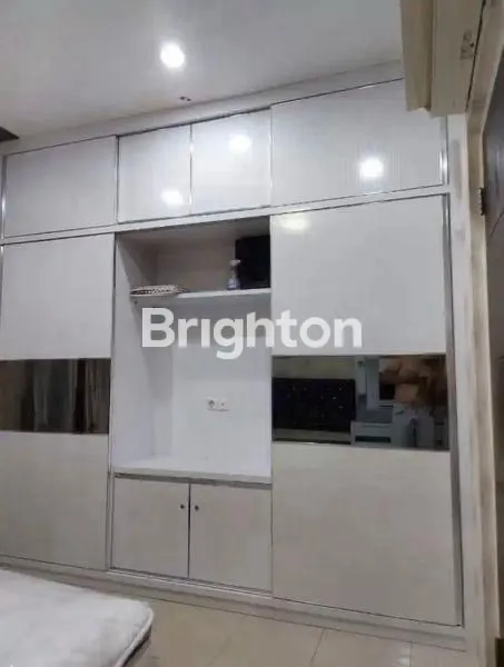 image GOLDEN PALM (4)