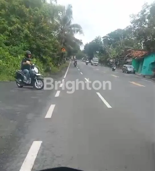 image TANAH KEBUN  1400 METER  PINGGIR JLN RAYA ARGOSARI  SEDAYU  BANTUL YOGYAKARTA (5)