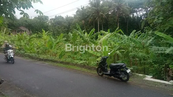 image TANAH KEBUN  1400 METER  PINGGIR JLN RAYA ARGOSARI  SEDAYU  BANTUL YOGYAKARTA (1)