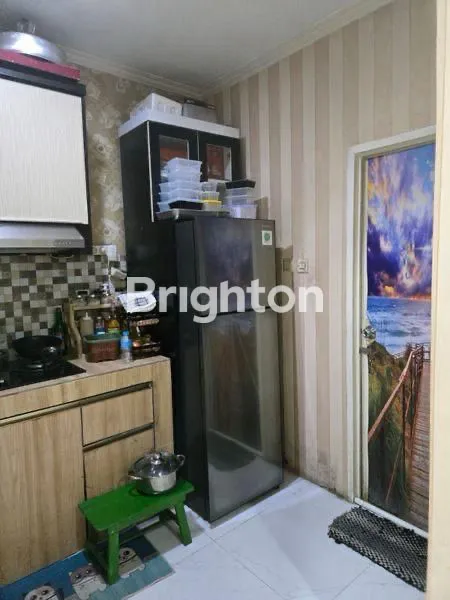 image GOLDEN PALM (2)