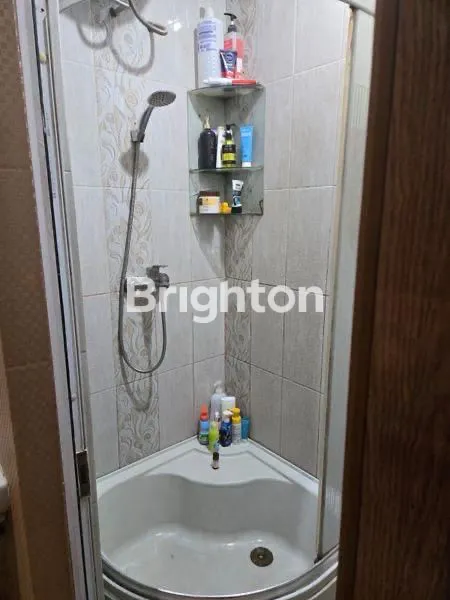 image GOLDEN PALM (6)