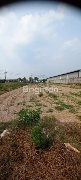 image DIJUAL TANAH STRATEGIS & BERADA DI KAWASAN INDUSTRY, RAYA KREMBUNG-NGORO (3)
