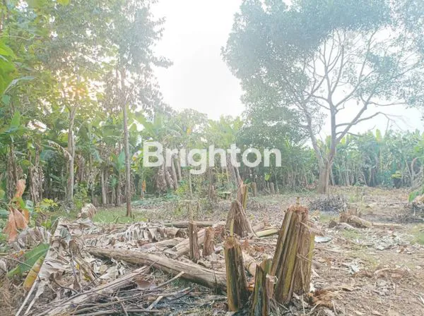 image TANAH 2000M2 DI GONDORIYO NGALIYAN SEMARANG BARAT COCOK UNTUK PERUMAHAN , INVESTASI, DAN PERKEBUNAN  (1)