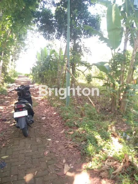 image TANAH DI SIWARAK UNGARAN LUAS 1700M2  (2)