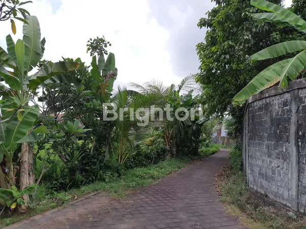 image TANAH KOMERSIAL + BONUS GUDANG & BEDENG KAPAL  MENGWI (2)