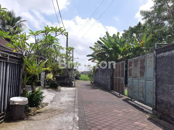 image TANAH KOMERSIAL + BONUS GUDANG & BEDENG KAPAL  MENGWI (3)