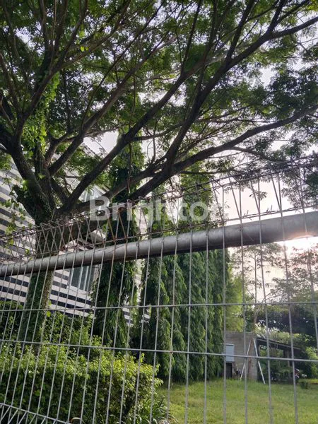 image TANAH PINGGIR JALAN DAERAH JIMBARAN (7)