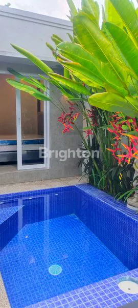 image FOR RENT VILLA SANUR FULL FURNISH DEKAT RENON DENPASAR BALI (1)