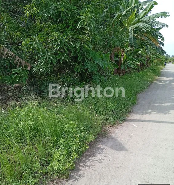 image TANAH STRATEGIS SHM UNTUK HUNIAN & USAHA (3)