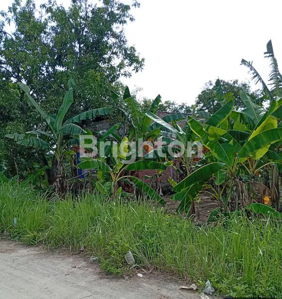 image TANAH STRATEGIS SHM UNTUK HUNIAN & USAHA (5)