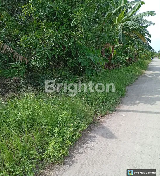 image TANAH STRATEGIS SHM UNTUK HUNIAN & USAHA (4)