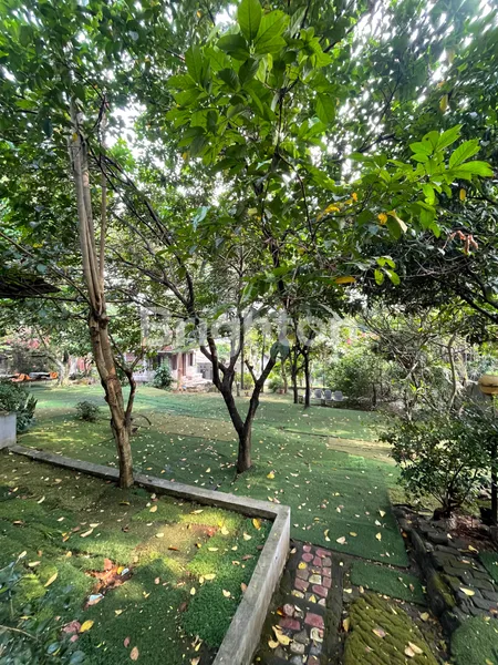 image RUMAH HALAMAN LUAS ASRI DEKAT PINTU TOLL LIMO SAWANGAN DEPOK  (8)