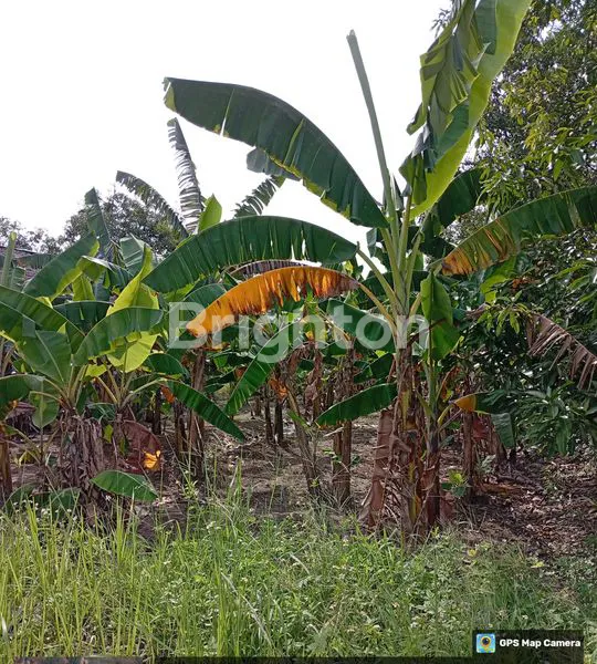 image TANAH STRATEGIS SHM UNTUK HUNIAN & USAHA (1)