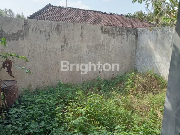 image TANAH BLONUS BANGUNAN (4)