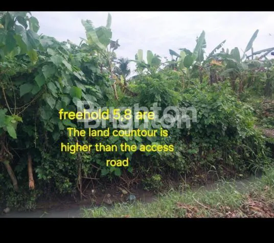 image FREEHOLD TANAH DIJUAL DI PANTAI YEH GANGGA TABANAN BALI (4)