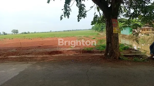 image TANAH LOKASI STRATEGIS PINGGIR JALAN RAYA DI KABUPATEN BATANG (3)