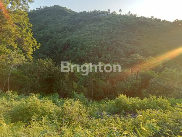 image LAHAN 1500M² SHM, DEKAT WISATA NUSA PENIDA (5)