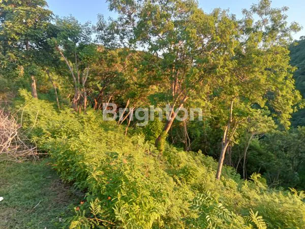 image LAHAN 1500M² SHM, DEKAT WISATA NUSA PENIDA (8)